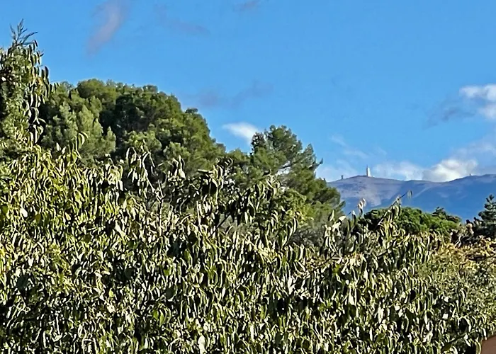 Le Mas De Mirabel