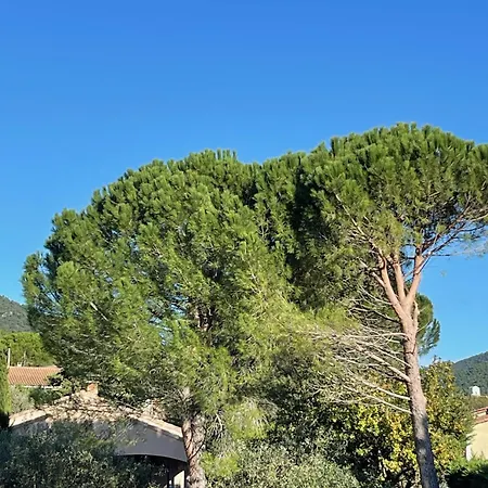 Le Mas De Mirabel Buitenkant foto